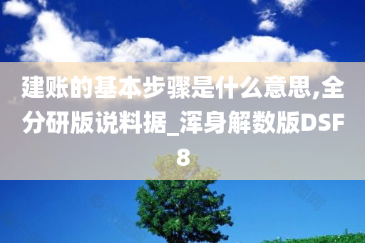 建账的基本步骤是什么意思,全分研版说料据_浑身解数版DSF8