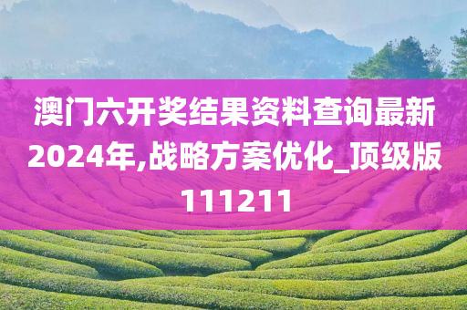 澳门六开奖结果资料查询最新2024年,战略方案优化_顶级版111211