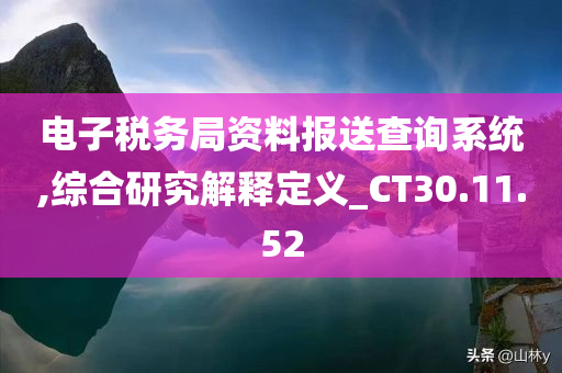 电子税务局资料报送查询系统,综合研究解释定义_CT30.11.52