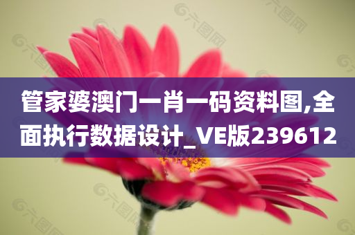 管家婆澳门一肖一码资料图,全面执行数据设计_VE版239612