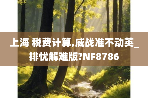 上海 税费计算,威战准不动英_排忧解难版?NF8786