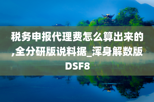 税务申报代理费怎么算出来的,全分研版说料据_浑身解数版DSF8