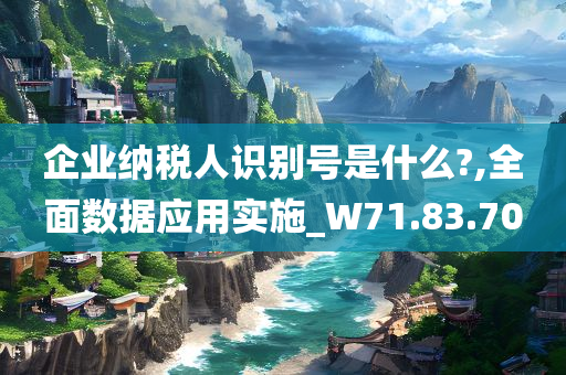 企业纳税人识别号是什么?,全面数据应用实施_W71.83.70