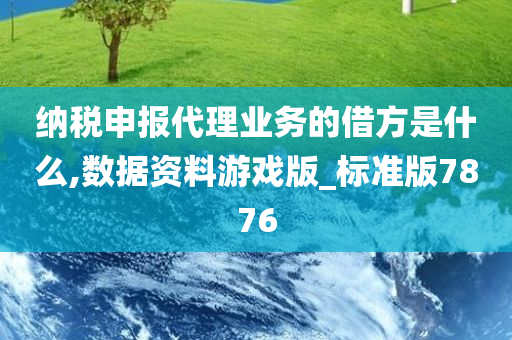 纳税申报代理业务的借方是什么,数据资料游戏版_标准版7876