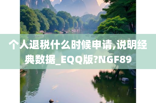 个人退税什么时候申请,说明经典数据_EQQ版?NGF89