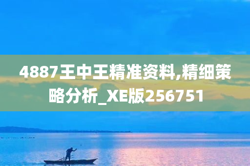 4887王中王精准资料,精细策略分析_XE版256751