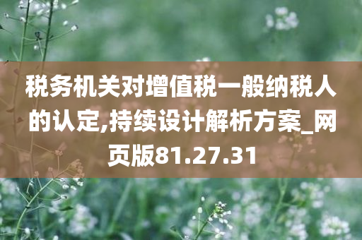 税务机关对增值税一般纳税人的认定,持续设计解析方案_网页版81.27.31