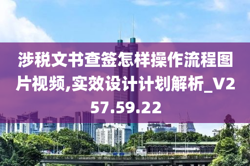 涉税文书查签怎样操作流程图片视频,实效设计计划解析_V257.59.22