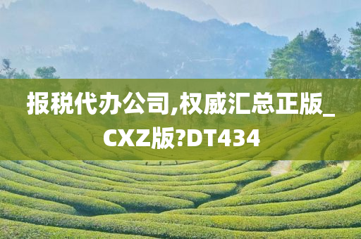 报税代办公司,权威汇总正版_CXZ版?DT434