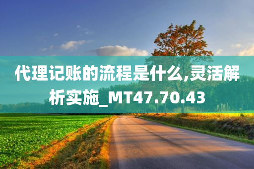 代理记账的流程是什么,灵活解析实施_MT47.70.43