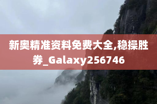 新奥精准资料免费大全,稳操胜券_Galaxy256746