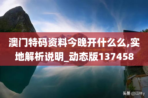 澳门特码资料今晚开什么么,实地解析说明_动态版137458