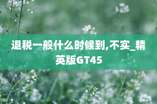 退税一般什么时候到,不实_精英版GT45