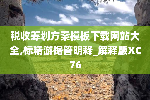 税收筹划方案模板下载网站大全,标精游据答明释_解释版XC76