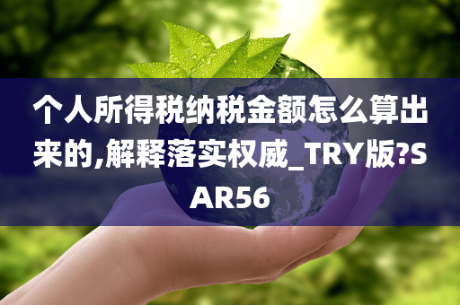 个人所得税纳税金额怎么算出来的,解释落实权威_TRY版?SAR56