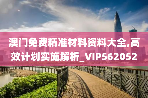 澳门免费精准材料资料大全,高效计划实施解析_VIP562052