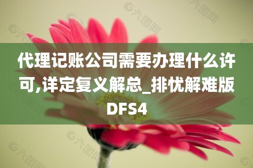 代理记账公司需要办理什么许可,详定复义解总_排忧解难版DFS4