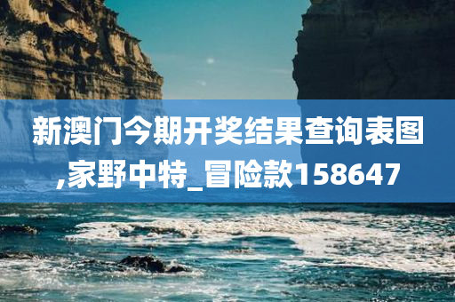 新澳门今期开奖结果查询表图,家野中特_冒险款158647