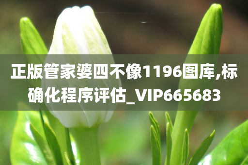 正版管家婆四不像1196图库,标确化程序评估_VIP665683