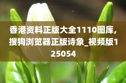 香港资料正版大全1110图库,搜狗浏览器正版诗象_视频版125054