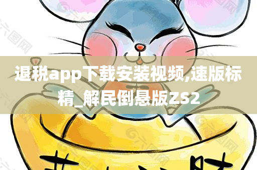 退税app下载安装视频,速版标精_解民倒悬版ZS2