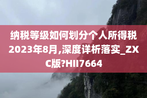 纳税等级如何划分个人所得税2023年8月,深度详析落实_ZXC版?HII7664