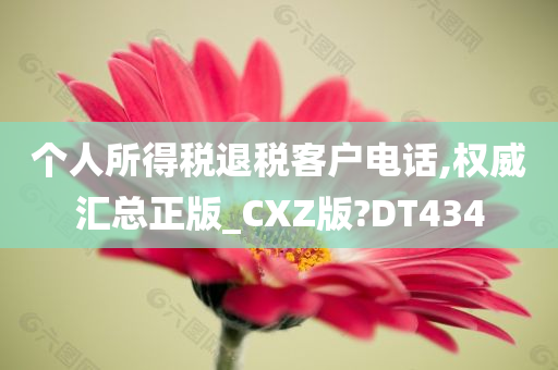 个人所得税退税客户电话,权威汇总正版_CXZ版?DT434