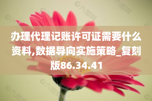 办理代理记账许可证需要什么资料,数据导向实施策略_复刻版86.34.41