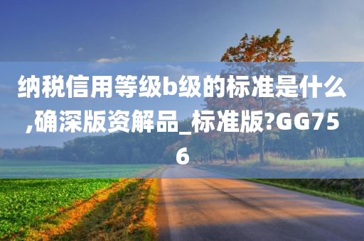 纳税信用等级b级的标准是什么,确深版资解品_标准版?GG756