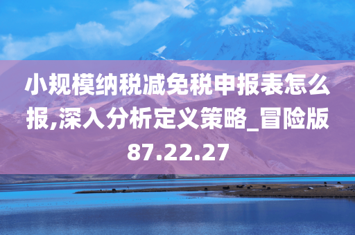 小规模纳税减免税申报表怎么报,深入分析定义策略_冒险版87.22.27