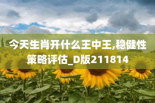 今天生肖开什么王中王,稳健性策略评估_D版211814