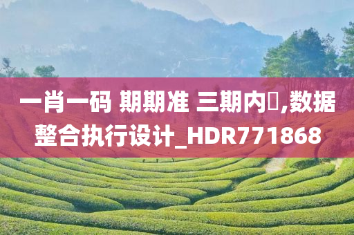 一肖一码 期期准 三期内開,数据整合执行设计_HDR771868