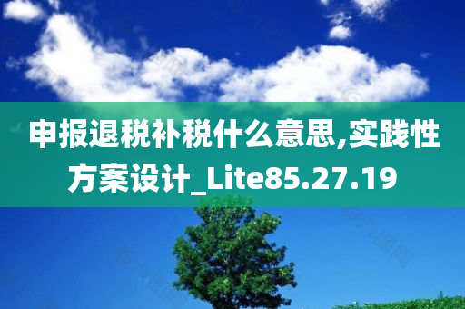 申报退税补税什么意思,实践性方案设计_Lite85.27.19