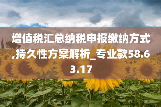 增值税汇总纳税申报缴纳方式,持久性方案解析_专业款58.63.17