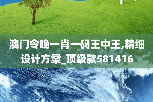 澳门令晚一肖一码王中王,精细设计方案_顶级款581416