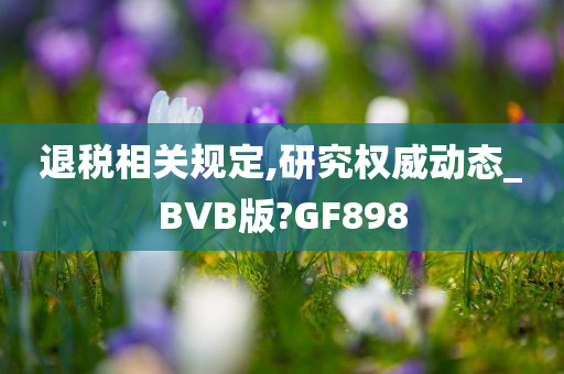 退税相关规定,研究权威动态_BVB版?GF898