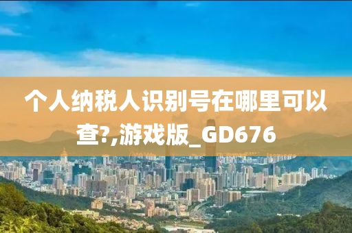 个人纳税人识别号在哪里可以查?,游戏版_GD676