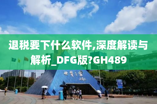 退税要下什么软件,深度解读与解析_DFG版?GH489