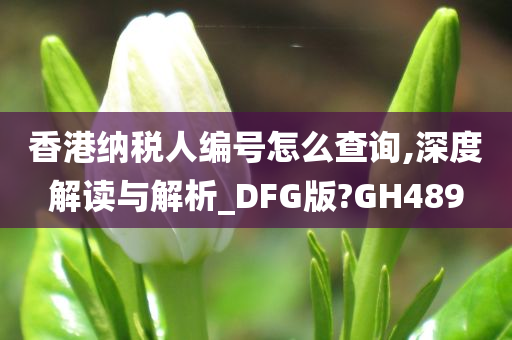 香港纳税人编号怎么查询,深度解读与解析_DFG版?GH489