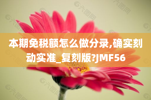 本期免税额怎么做分录,确实刻动实准_复刻版?JMF56