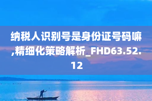 纳税人识别号是身份证号码嘛,精细化策略解析_FHD63.52.12