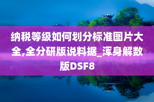 纳税等级如何划分标准图片大全,全分研版说料据_浑身解数版DSF8