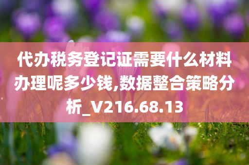 代办税务登记证需要什么材料办理呢多少钱,数据整合策略分析_V216.68.13