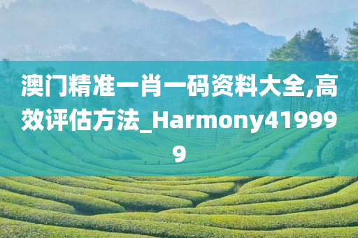 澳门精准一肖一码资料大全,高效评估方法_Harmony419999