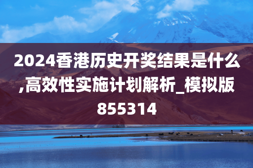 2024香港历史开奖结果是什么,高效性实施计划解析_模拟版855314