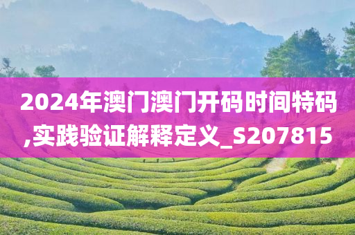 2024年澳门澳门开码时间特码,实践验证解释定义_S207815