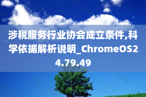 涉税服务行业协会成立条件,科学依据解析说明_ChromeOS24.79.49