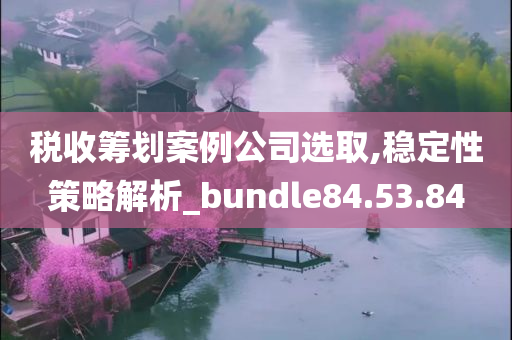 税收筹划案例公司选取,稳定性策略解析_bundle84.53.84