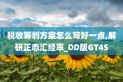 税收筹划方案怎么写好一点,解研正态汇经率_DD版GT45