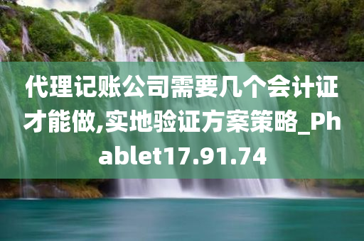 代理记账公司需要几个会计证才能做,实地验证方案策略_Phablet17.91.74